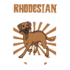 Rhodesian Ridgeback Dad - Rhodesian Ridgeback