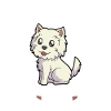 Westie Dad - West Highland Terrier