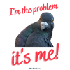 I'm the problem