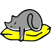 sleepy cat