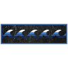 Surfer Logo Blue