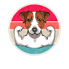 Jack Russell Terrier