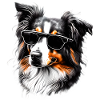 Puppy Australian Shepherd Dog Owner