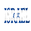Israël