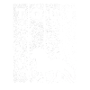 Tölt - Islandpferd - Isländer - Tölter