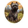 Dog Affenpinscher