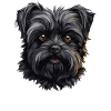 Chien Affenpinscher