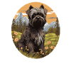 Dog Affenpinscher