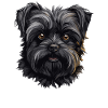 Chien Affenpinscher