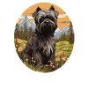 Dog Affenpinscher