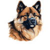 Dog American Akita