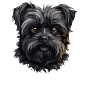 Dog Affenpinscher