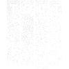 Tölt im Tannenwald