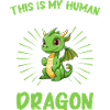 Dragon Mystic Dragon Fantasy