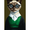 Nerd-Katze