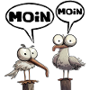 moin moin