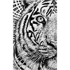 Psychedelic Tiger, Tiger Stripes