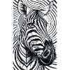Psychedelic Zebra