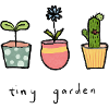 Tiny potted plants garden