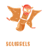 Flying Squirrel Lover
