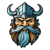 Viking Head Warrior