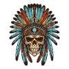 Apache Indian Skull
