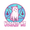 Worship me