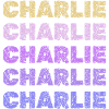 Gift for Charlie