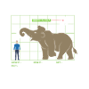 Mammoth