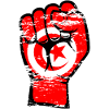 Tunesien Flagge Faust Hand Symbol used