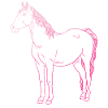 Horse Design Gift