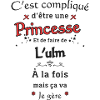 Princesse Et L'uLM
