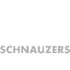 Coffee And Schnauzer