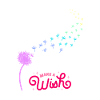 Make A wish