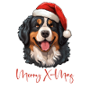 Berner Sennenhund