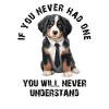 Bernese mountain dog