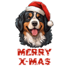 Le bouvier bernois X-Mas
