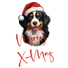 Berner Sennenhund X-Mas