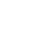 Velociraptor Dinosaur