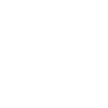 Brachiosaurus Dinosaur