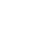 Seagull Bird