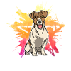 Jack Russell