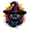 Black cat