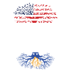 Kosovar American Patriot États-Unis
