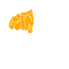 Rock Collector