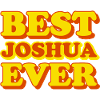 Joshua First Name Funny Gift