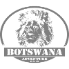 Botswana - Lion