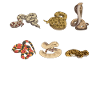 Snake, Snake, Animal
