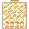 Hero 2030