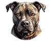 Dog American Pitbull